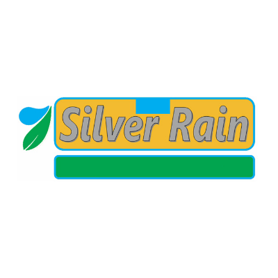 Silver Rain